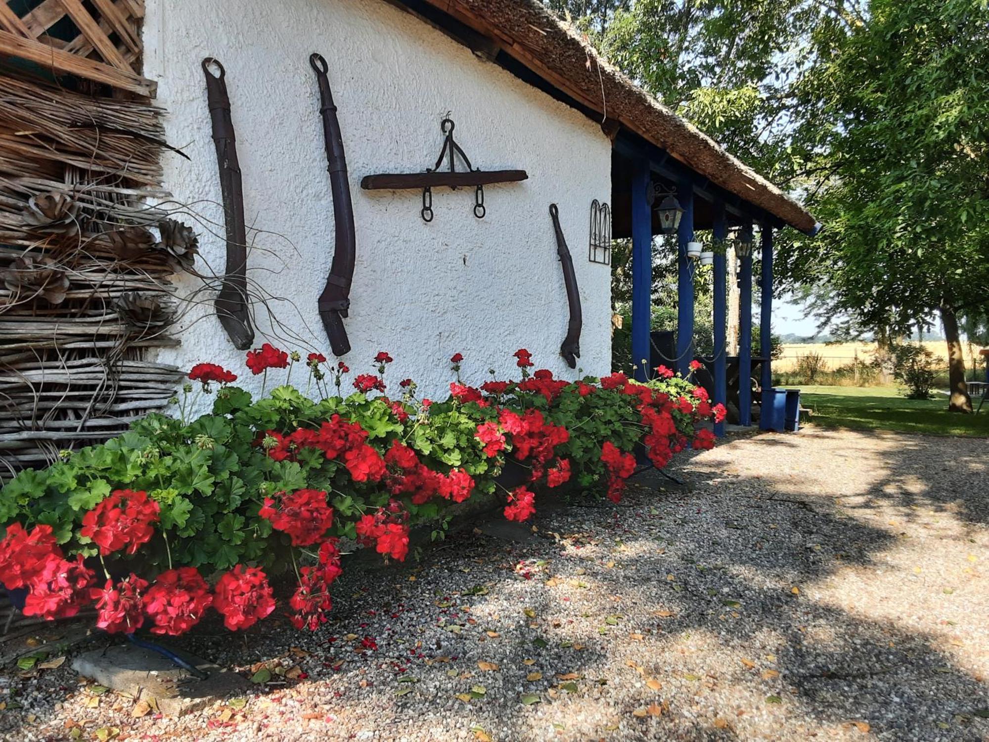 Herberg Tisza Tiszabábolna Exteriér fotografie